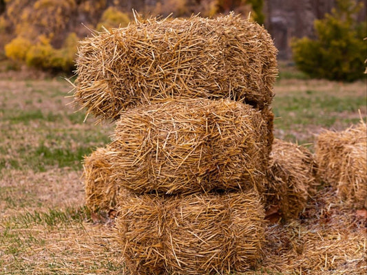 Add-On: πΎ Straw Bale