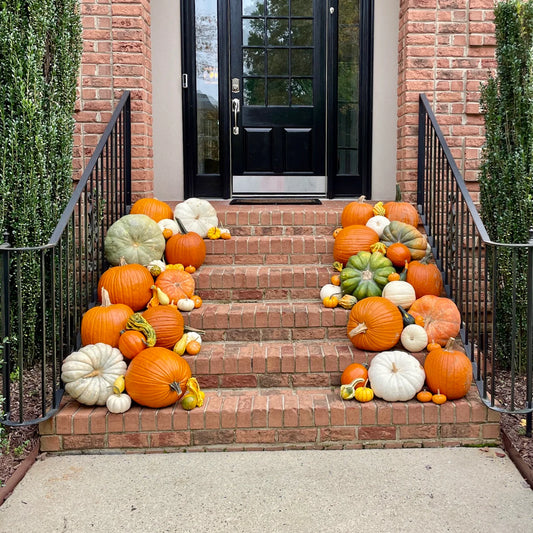 Package #1: 🎃 The Petite Pumpkin